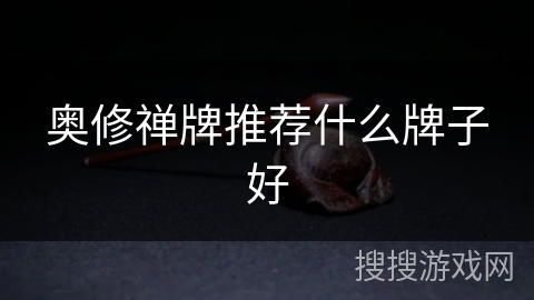 奥修禅牌推荐什么牌子好