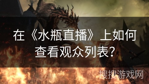 在《水瓶直播》上如何查看观众列表？