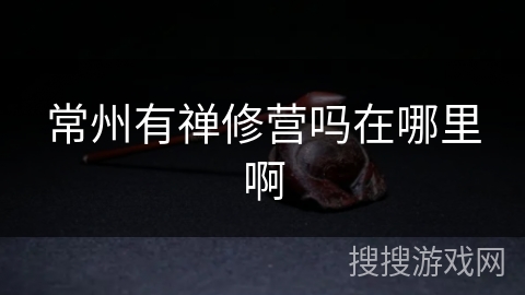 常州有禅修营吗在哪里啊