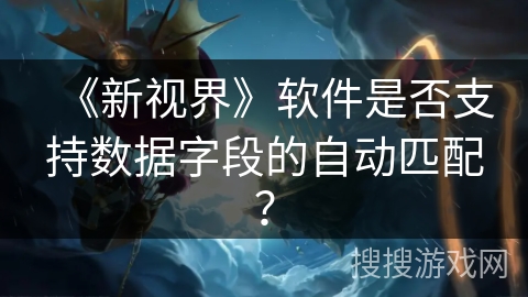 《新视界》软件是否支持数据字段的自动匹配？