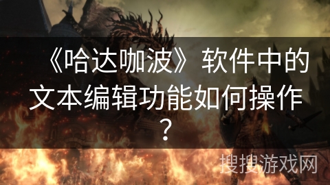 《哈达咖波》软件中的文本编辑功能如何操作？
