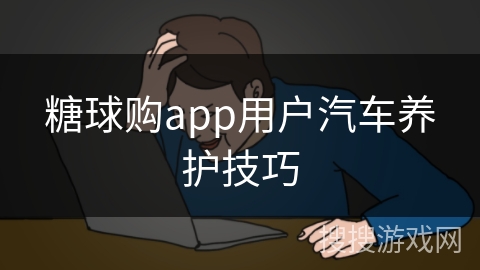 糖球购app用户汽车养护技巧