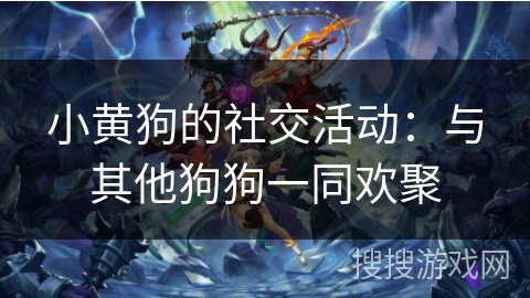 小黄狗的社交活动:与其他狗狗一同欢聚 小黄狗的社交活动:与其他狗狗一同欢聚