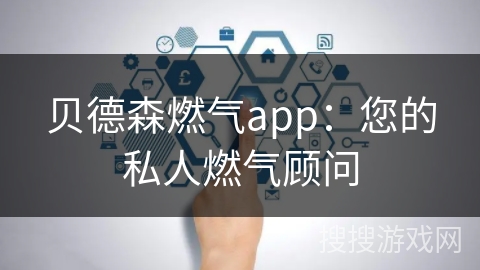 贝德森燃气app：您的私人燃气顾问