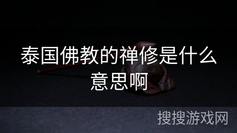 泰国佛教的禅修是什么意思啊