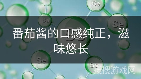 番茄酱的口感纯正,滋味悠长 番茄酱的口感纯正,滋味悠长
