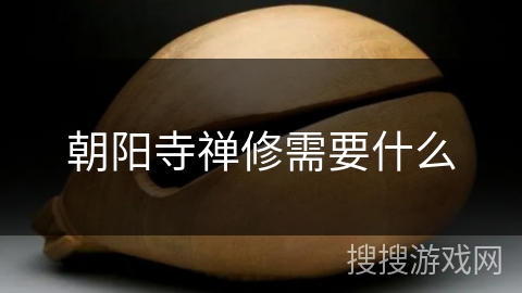 朝阳寺禅修需要什么