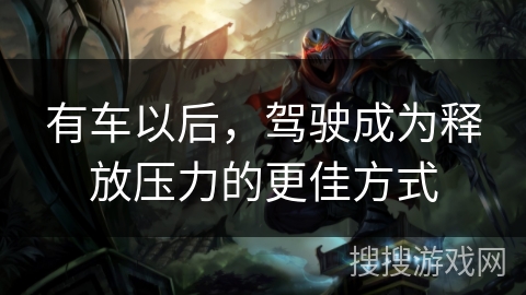 有车以后,驾驶成为释放压力的更佳方式 有车以后,驾驶成为释放压力的更佳方式