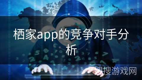 栖家app的竞争对手分析