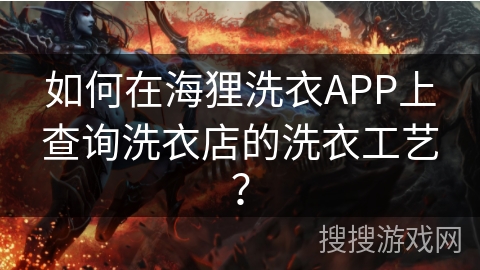 如何在海狸洗衣APP上查询洗衣店的洗衣工艺？