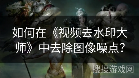 如何在《视频去水印大师》中去除图像噪点? 如何在《视频去水印大师》中去除图像噪点?