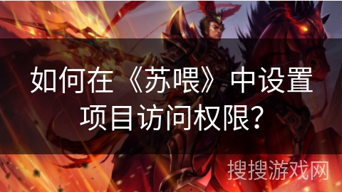 如何在《苏喂》中设置项目访问权限？