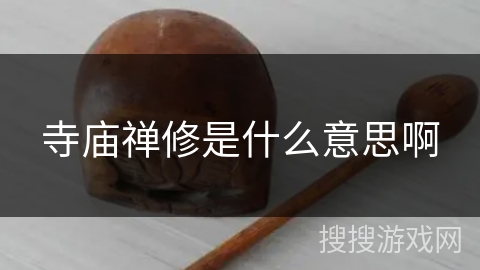 寺庙禅修是什么意思啊