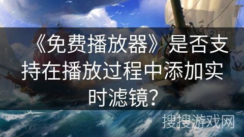 《免费播放器》是否支持在播放过程中添加实时滤镜？