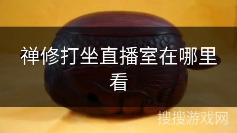 禅修打坐直播室在哪里看