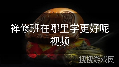 禅修班在哪里学更好呢视频