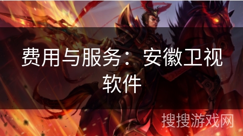 费用与服务：安徽卫视软件