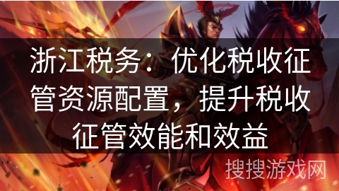 浙江税务：优化税收征管资源配置，提升税收征管效能和效益