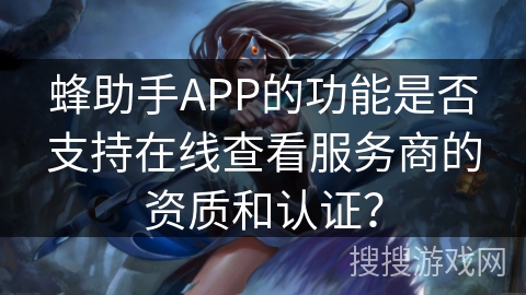 蜂助手APP的功能是否支持在线查看服务商的资质和认证？