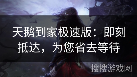 天鹅到家极速版：即刻抵达，为您省去等待