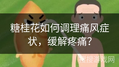 糖桂花如何调理痛风症状，缓解疼痛？