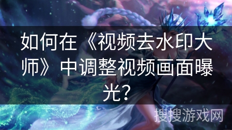 如何在《视频去水印大师》中调整视频画面曝光？