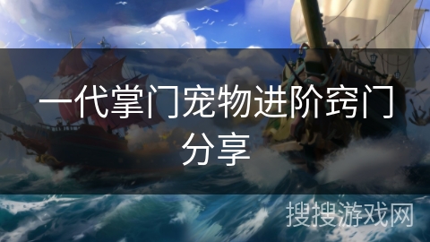 一代掌门宠物进阶窍门分享