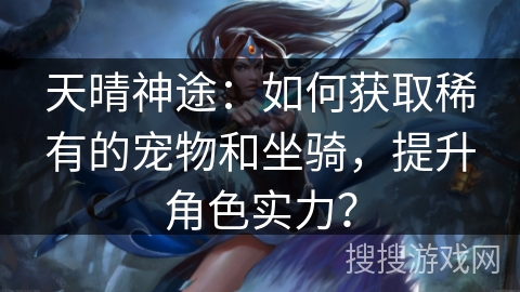 天晴神途：如何获取稀有的宠物和坐骑，提升角色实力？