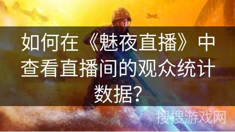 如何在《魅夜直播》中查看直播间的观众统计数据？