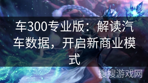 车300专业版：解读汽车数据，开启新商业模式