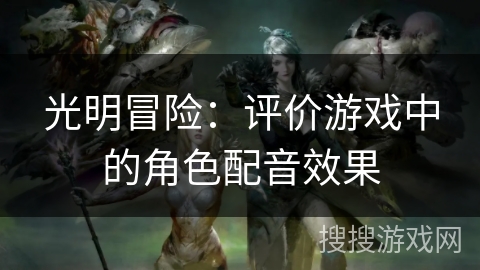 光明冒险：评价游戏中的角色配音效果