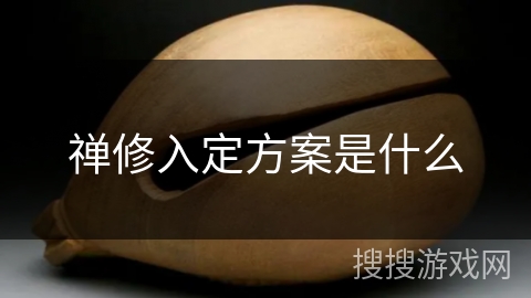 禅修入定方案是什么