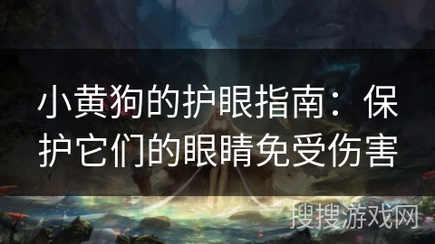 小黄狗的护眼指南：保护它们的眼睛免受伤害