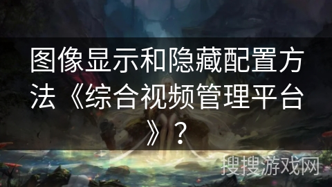 图像显示和隐藏配置方法《综合视频管理平台》？