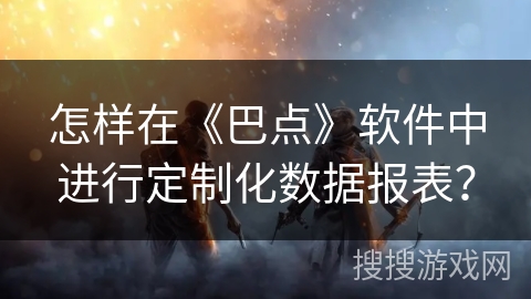 怎样在《巴点》软件中进行定制化数据报表？