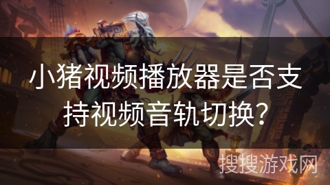 小猪视频播放器是否支持视频音轨切换? 小猪视频播放器是否支持视频音轨切换?