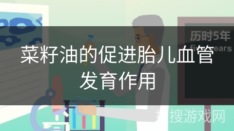 菜籽油的促进胎儿血管发育作用