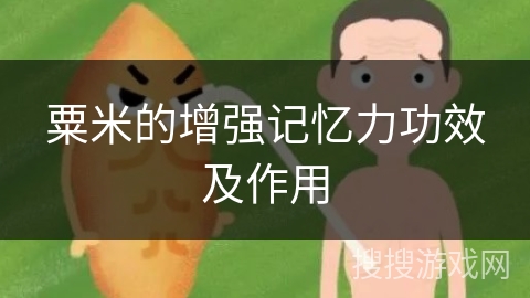 粟米的增强记忆力功效及作用