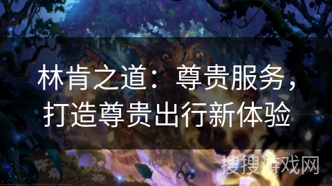 林肯之道：尊贵服务，打造尊贵出行新体验