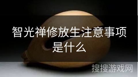 智光禅修放生注意事项是什么