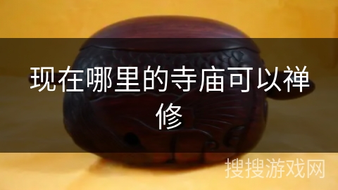 现在哪里的寺庙可以禅修