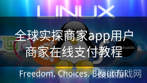 全球实探商家app用户商家在线支付教程