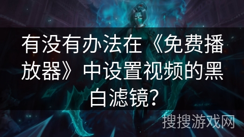 有没有办法在《免费播放器》中设置视频的黑白滤镜？