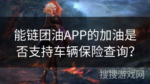 能链团油APP的加油是否支持车辆保险查询？