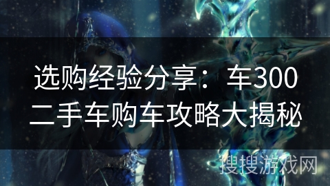 选购经验分享：车300二手车购车攻略大揭秘