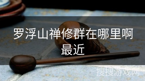 罗浮山禅修群在哪里啊最近