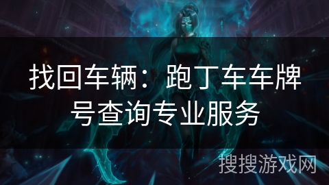 找回车辆:跑丁车车牌号查询专业服务 找回车辆:跑丁车车牌号查询专业服务