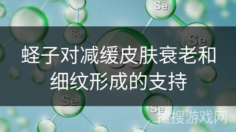 蛏子对减缓皮肤衰老和细纹形成的支持