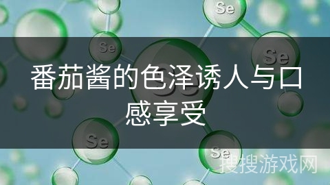 番茄酱的色泽诱人与口感享受