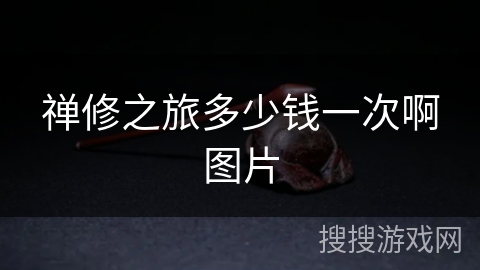 禅修之旅多少钱一次啊图片